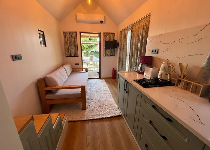 Tiny House In Altinkum, 100 M From The Sea * 迪迪姆