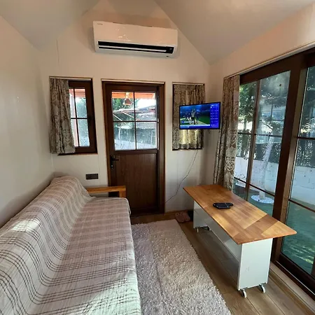 Holiday home Altinkum Tiny House, 100 M From The Sea